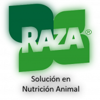 RAZA-01