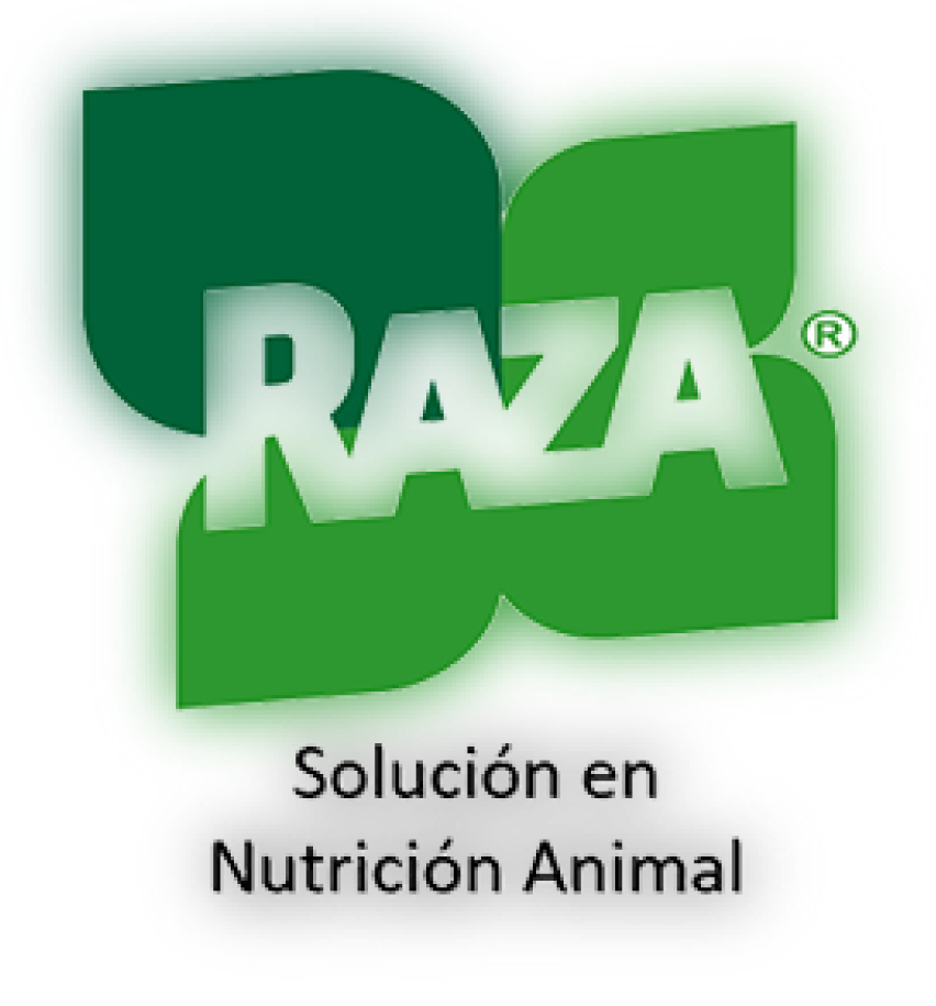 RAZA-01